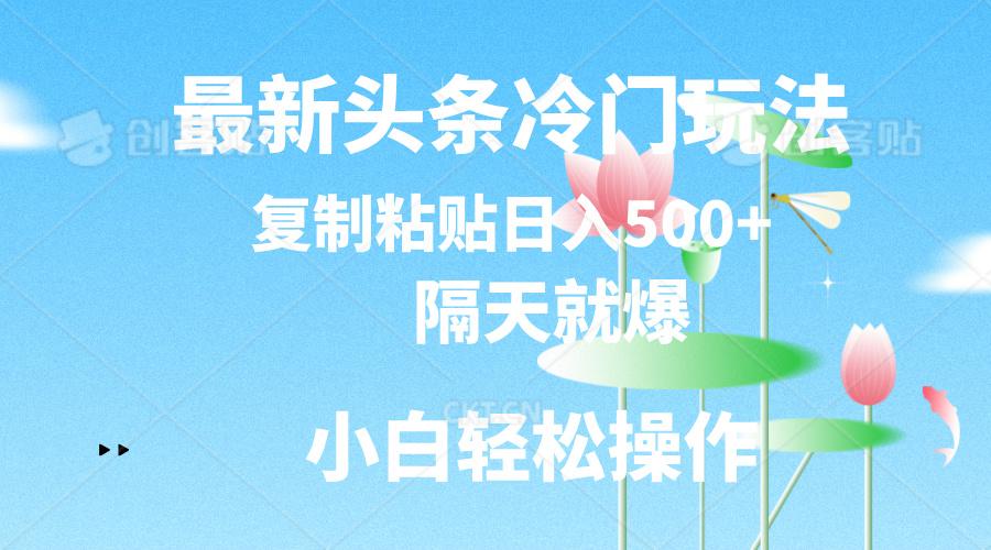 最新头条冷门玩法，隔天就爆，复制粘贴日入500+-test