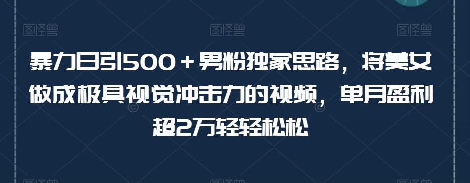 暴力日引500＋男粉独家思路，将美女做成极具视觉冲击力的视频，单月盈利超2万轻轻松松-test