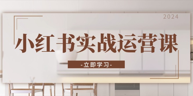 小红书实战运营课：从开通店铺到直播话术，打造爆款笔记与高效直播-test
