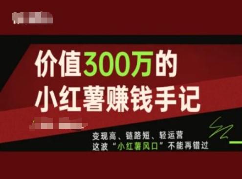 价值300万的小红书赚钱手记，变现高、链路短、轻运营，这波“小红薯风口”不能再错过-test