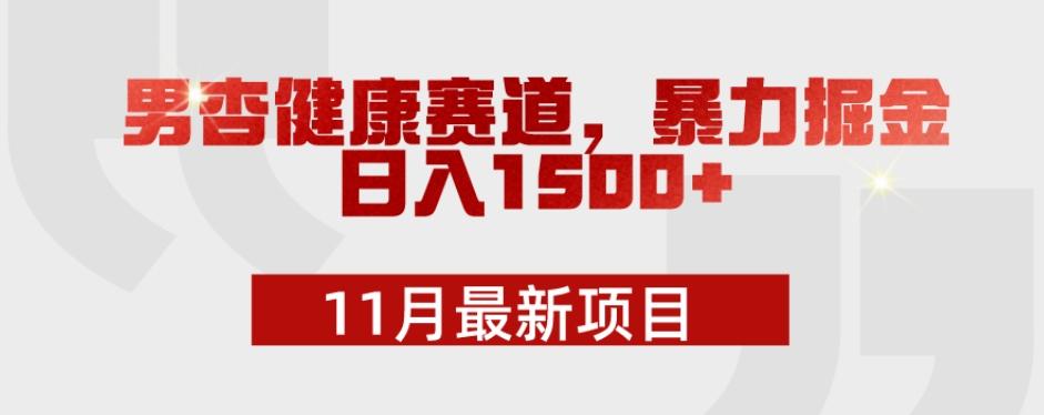 11月最新项目，男杏健康赛道，暴力掘金，日入1500+-test