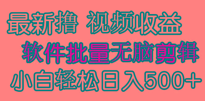 (9569期)发视频撸收益，软件无脑批量剪辑，第一天发第二天就有钱-test