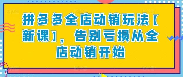 拼多多全店动销玩法【新课】，告别亏损从全店动销开始-test