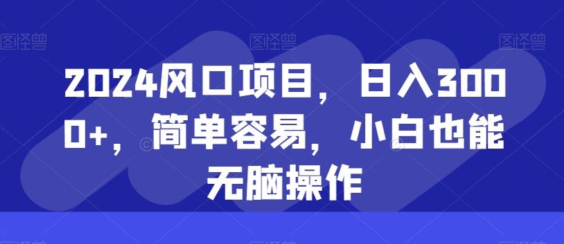 2024风口项目，日入3000+，简单容易，小白也能无脑操作-test