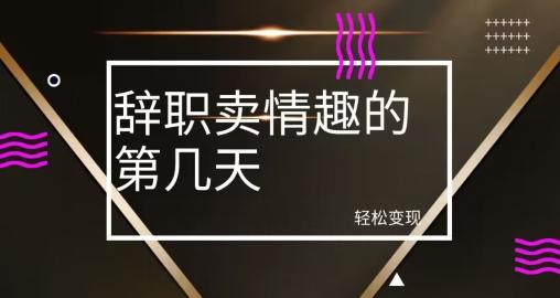 冷门赛道，辞职卖情趣的第几天，超暴力项目-test