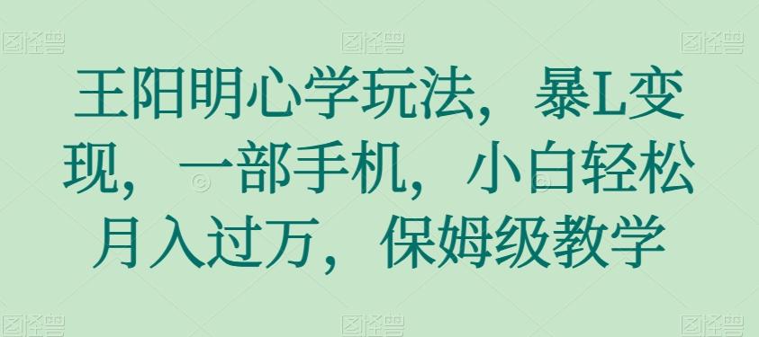 王阳明心学玩法，暴L变现，一部手机，小白轻松月入过万，保姆级教学【揭秘】-test