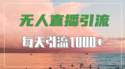 抖音快手视频号全平台通用，无人直播引流法，超暴力引流1000+高质量精准创业粉【揭秘】-test
