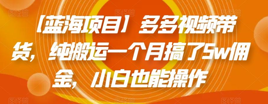 【蓝海项目】多多视频带货，纯搬运一个月搞了5w佣金，小白也能操作【揭秘】-test