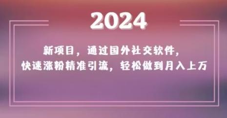 2024新项目，通过国外社交软件，快速涨粉精准引流，轻松做到月入上万【揭秘】-test