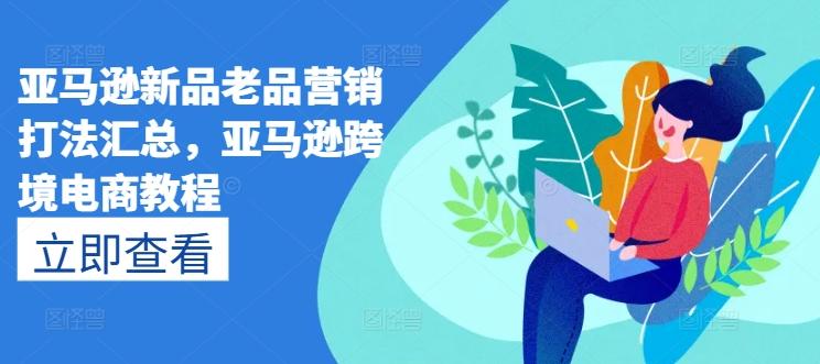 亚马逊新品老品营销打法汇总，亚马逊跨境电商教程-test