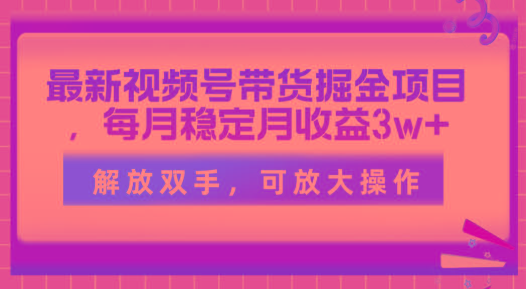最新视频号带货掘金项目，每月稳定月收益3w+，解放双手，可放大操作-test