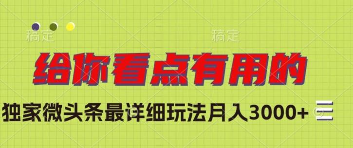 独家微头条最详细玩法，月入3000+【揭秘】-test