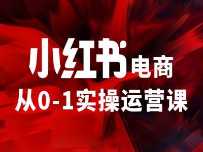 小红书电商从0-1实操运营课，让你从小白到精英-test
