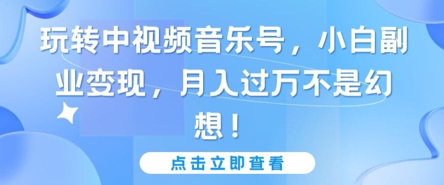 玩转中视频音乐号，小白副业变现，月入过万不是幻想【揭秘】-test
