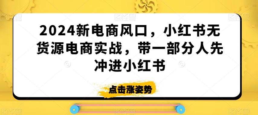 2024新电商风口，小红书无货源电商实战，带一部分人先冲进小红书-test