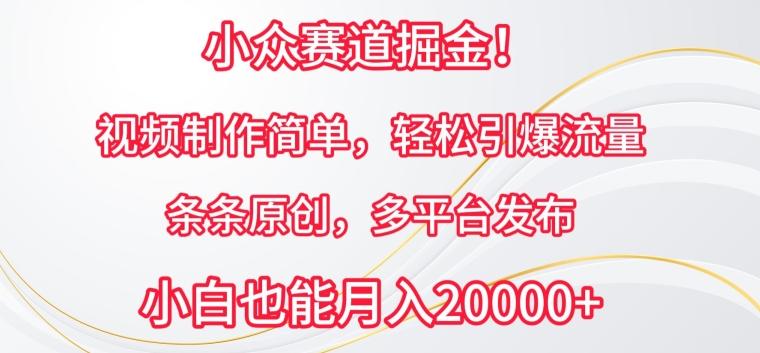 小众赛道掘金，视频制作简单，轻松引爆流量，条条原创，多平台发布【揭秘】-test