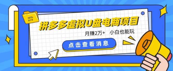 拼多多虚拟U盘电商红利项目：月赚2万+，新手小白也能玩-test