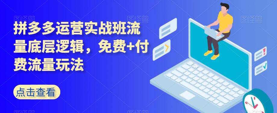 拼多多运营实战班流量底层逻辑，免费+付费流量玩法-test