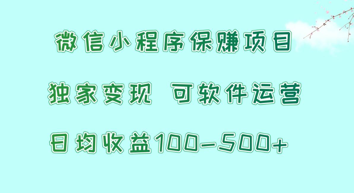 微信小程序保赚项目，日均收益100~500+，独家变现，可软件运营-test