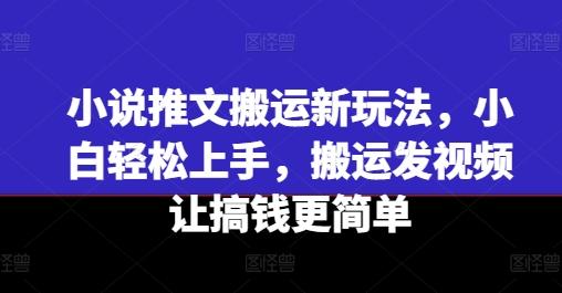 小说推文搬运新玩法，小白轻松上手，搬运发视频让搞钱更简单-test
