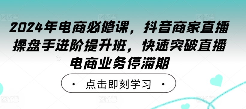 2024年电商必修课，抖音商家直播操盘手进阶提升班，快速突破直播电商业务停滞期-test