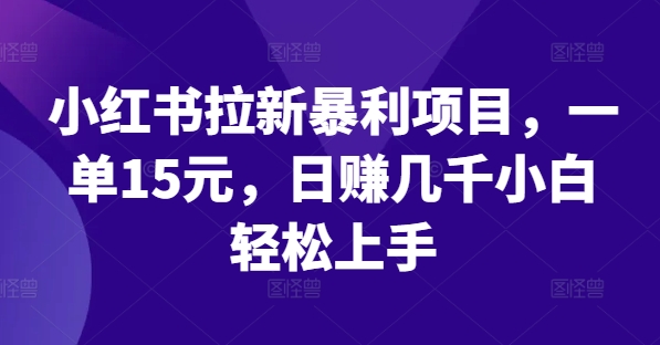小红书拉新暴利项目，一单15元，日赚几千小白轻松上手【揭秘】-test