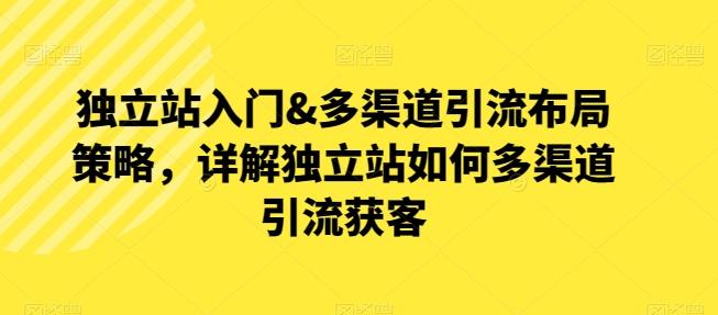独立站入门&多渠道引流布局策略，详解独立站如何多渠道引流获客-test