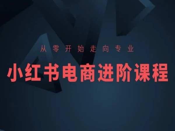 从零开始走向专业，小红书电商进阶课程-test