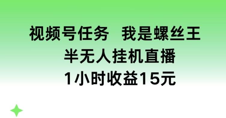 视频号任务，我是螺丝王， 半无人挂机1小时收益15元【揭秘】-test