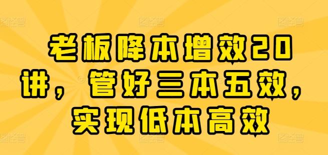老板降本增效20讲，管好三本五效，实现低本高效-test