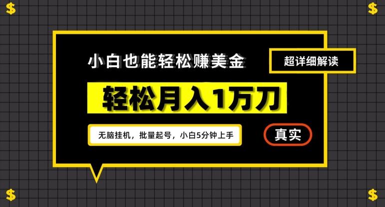谷歌看广告撸美金2.0，无脑挂机，多号操作，月入1万刀【揭秘】-test