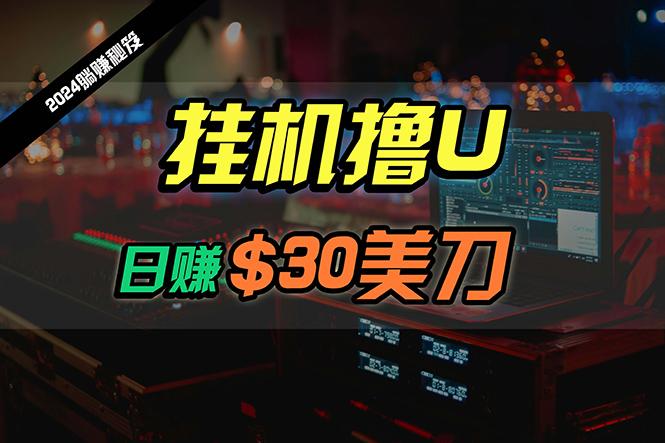 (10013期)日赚30美刀，2024最新海外挂机撸U内部项目，全程无人值守，可批量放大-test