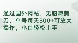 通过国外网站，无脑赚美刀，单号每天300+可放大操作，小白轻松上手【揭秘】-test