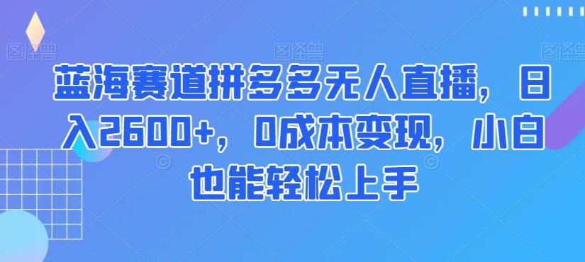 蓝海赛道拼多多无人直播，日入2600+，0成本变现，小白也能轻松上手【揭秘】-test