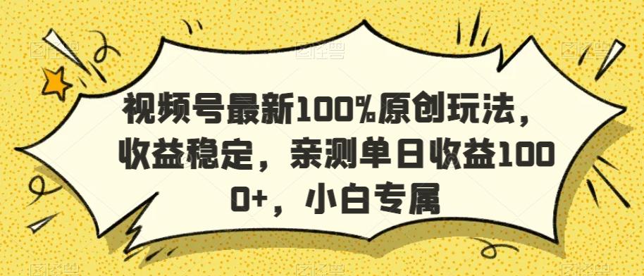 视频号最新100%原创玩法，收益稳定，亲测单日收益1000+，小白专属【揭秘】-test