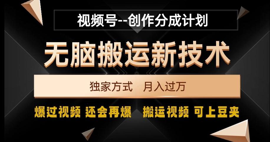 视频号无脑搬运新技术，破原创壕流量，独家方式，爆过视频，还会再爆【揭秘】-test