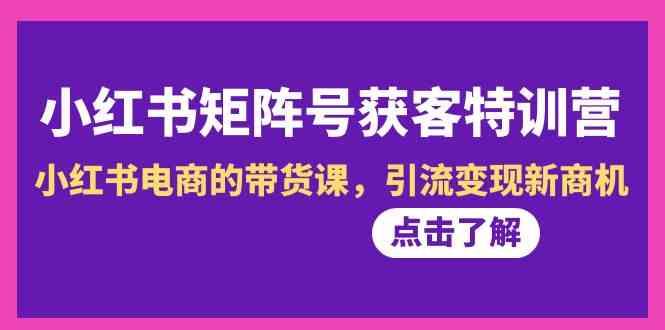 小红书矩阵号获客特训营-第10期，小红书电商的带货课，引流变现新商机-test
