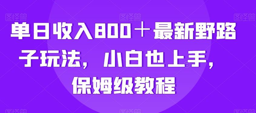 单日收入800＋最新野路子玩法，小白也上手，保姆级教程-test