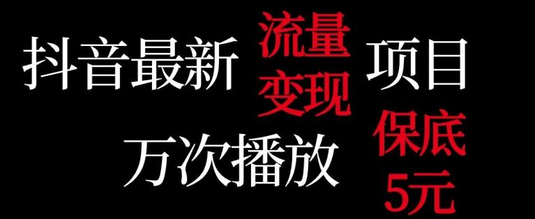 抖音流量变现，万次播放保底5元，额外收入-test