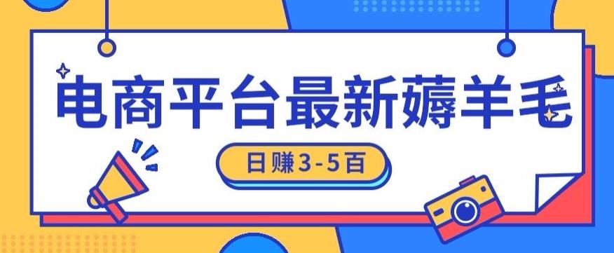 日赚300-500的电商平台薅羊毛新玩法，可重复操作，小白也可简单上手-test