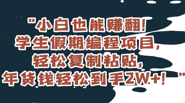 小白也能赚翻！学生假期编程项目，轻松复制粘贴，年货钱轻松到手2W+【揭秘】-test