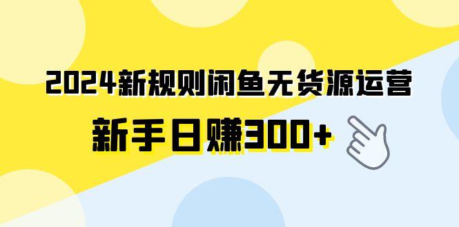(9522期)2024新规则闲鱼无货源运营新手日赚300+-test