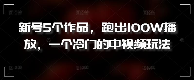 新号5个作品，跑出100W播放，一个冷门的中视频玩法【揭秘】-test