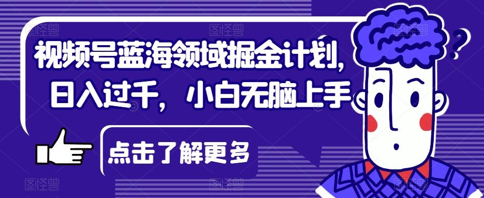 视频号蓝海领域掘金计划，日入过千，小白无脑上手【揭秘】-test