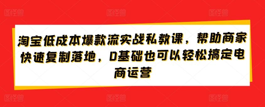 淘宝低成本爆款流实战私教课，帮助商家快速复制落地，0基础也可以轻松搞定电商运营-test