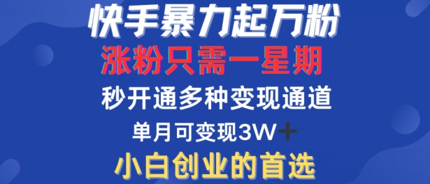 快手暴力起万粉，涨粉只需一星期，多种变现模式，直接秒开万合，单月变现过W【揭秘】-test