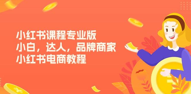 小红书课程专业版，小白，达人，品牌商家，小红书电商教程(15节-test