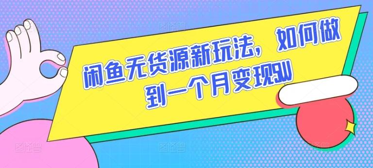 闲鱼无货源新玩法，如何做到一个月变现5W【揭秘】-test