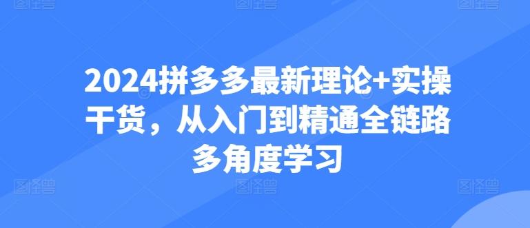 2024拼多多最新理论+实操干货，从入门到精通全链路多角度学习-test