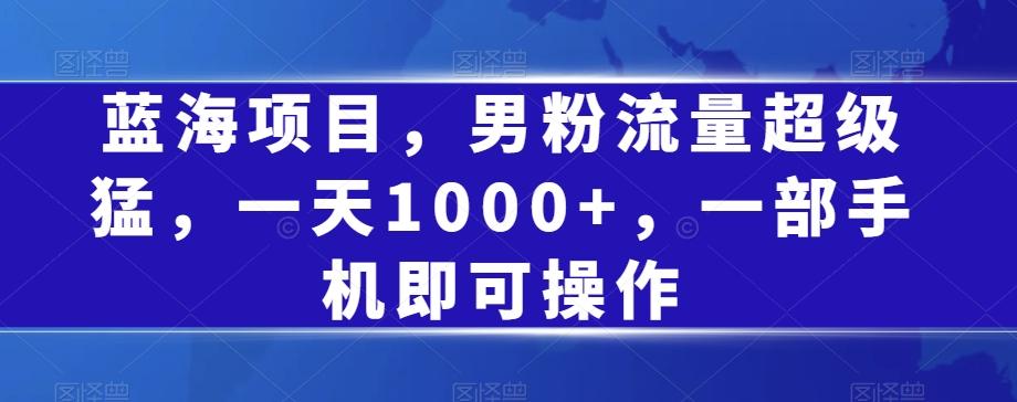蓝海项目，男粉流量超级猛，一天1000+，一部手机即可操作【揭秘】-test